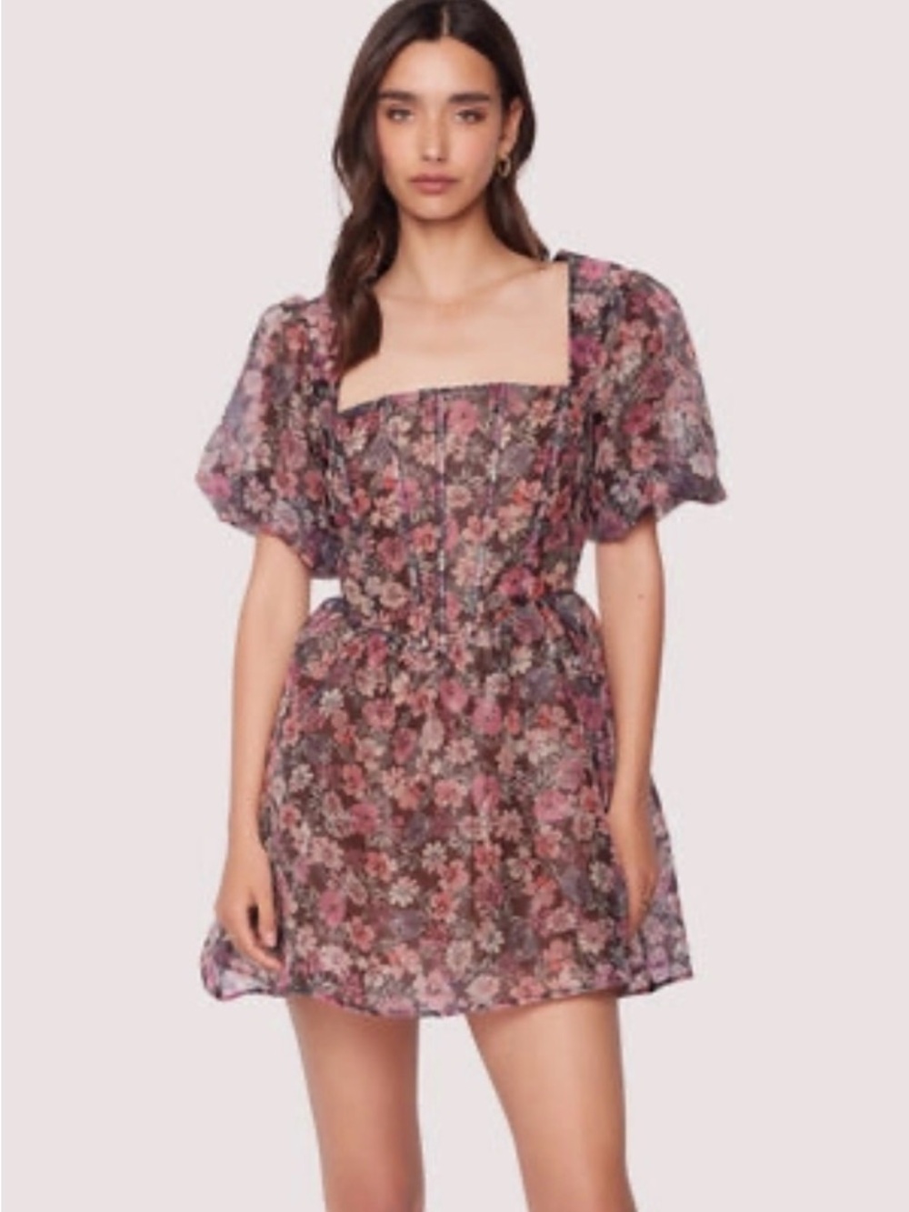 Sheer lined Babydoll floral mini dress LOST and WANDER NWT
